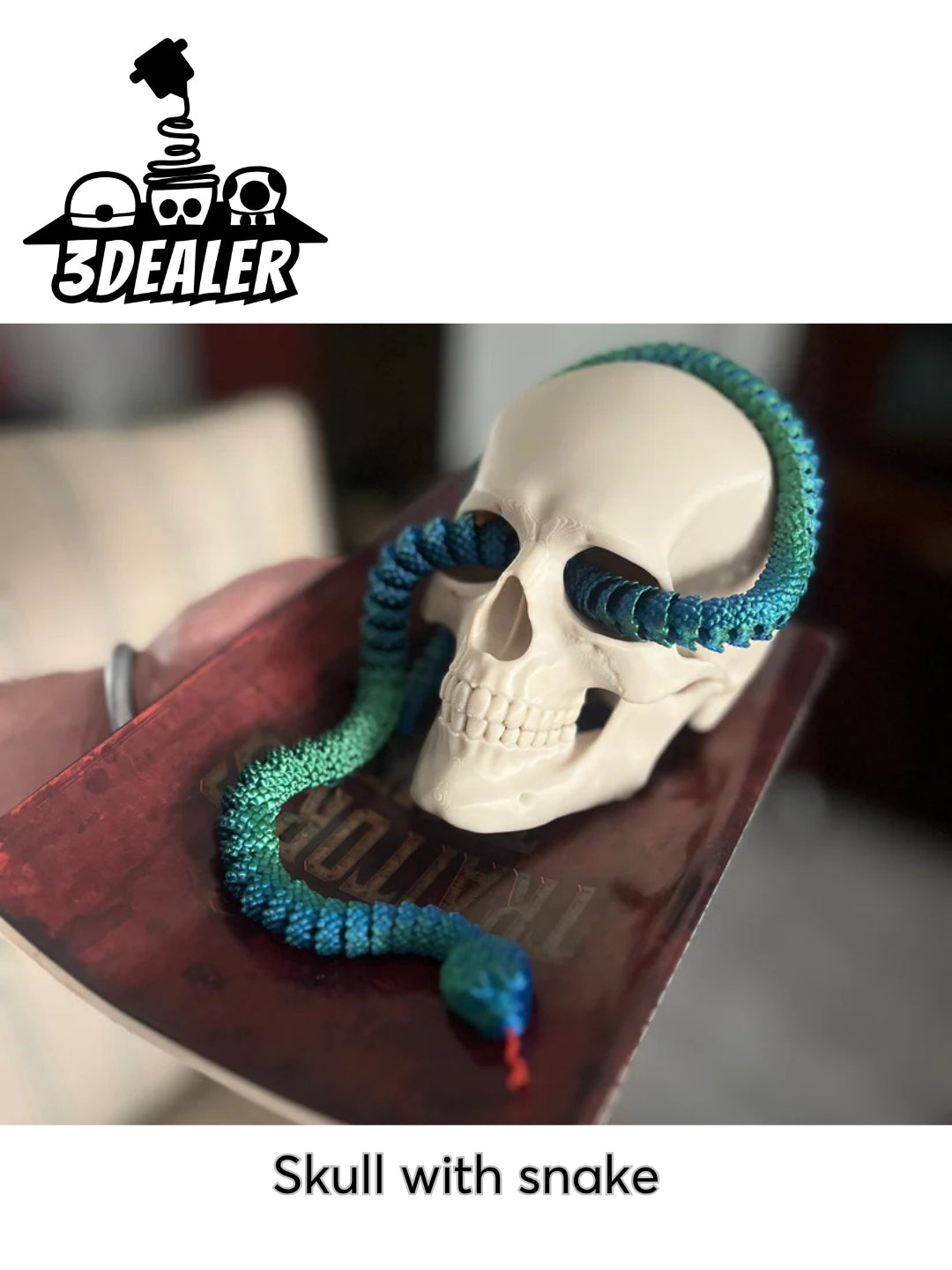 Articulated Skull with Snake