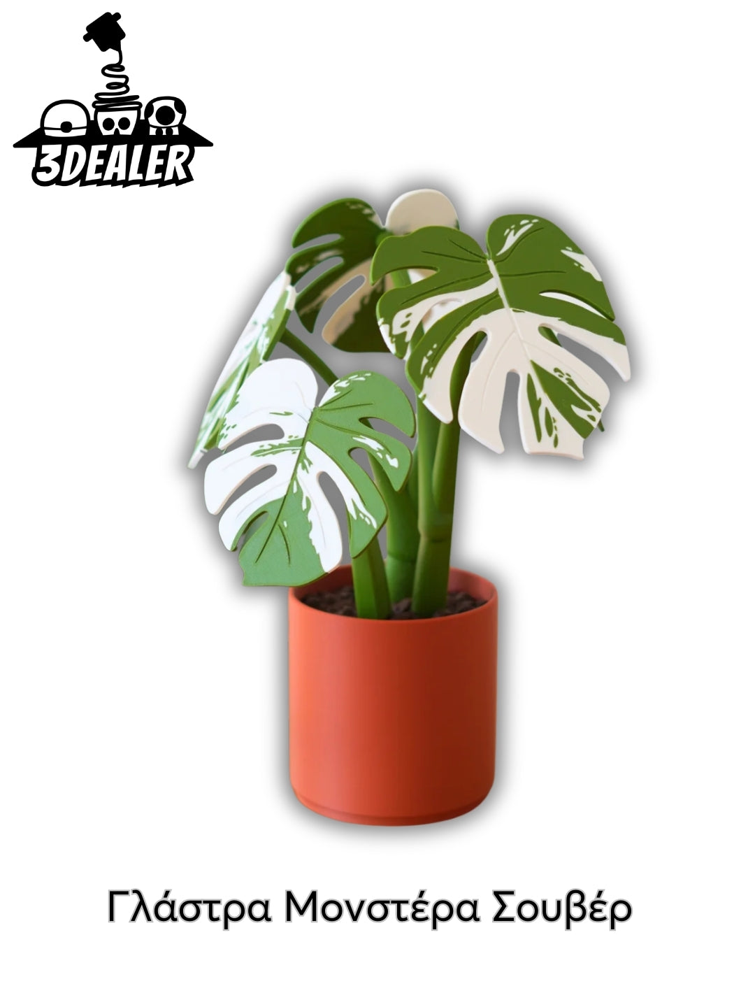 Γλάστρα Μονστέρα Σουβέρ