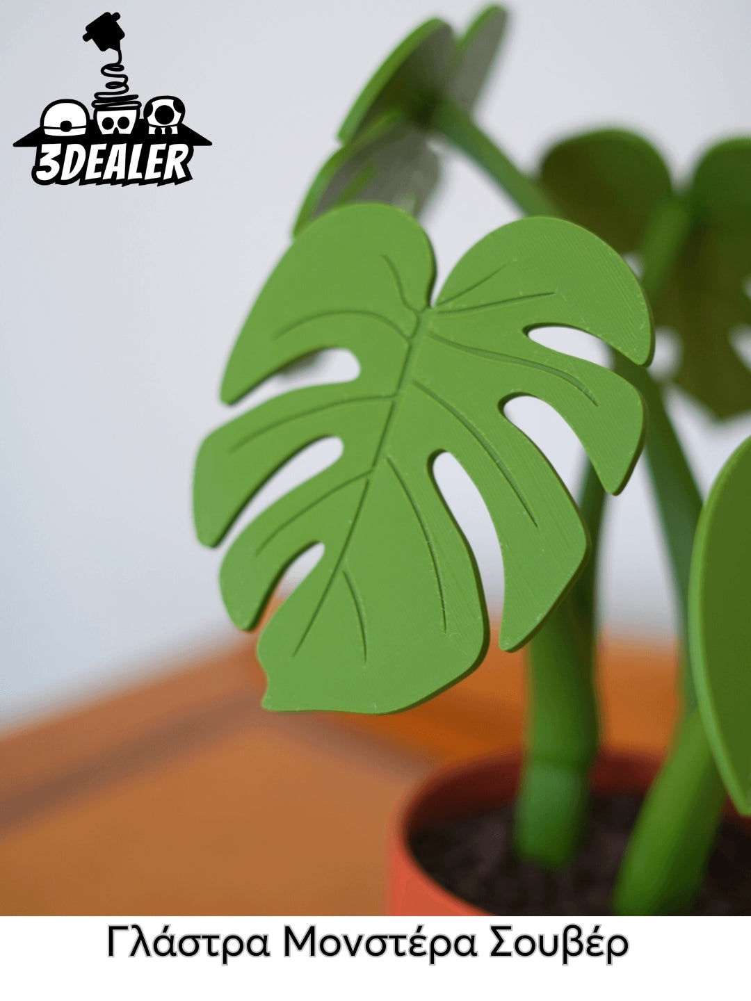 Γλάστρα Μονστέρα Σουβέρ